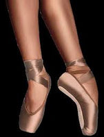 Toshie Pointe Shoe SoDanca - Washington Dancewear